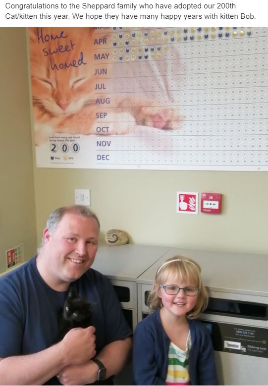 200th cat